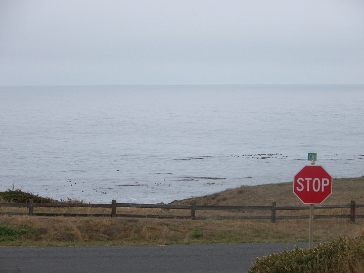 Ocean