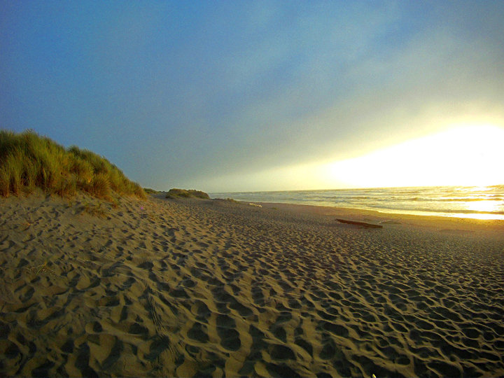 Seaset